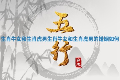 生肖牛女和生肖虎男 生肖牛女和生肖虎男的婚姻如何