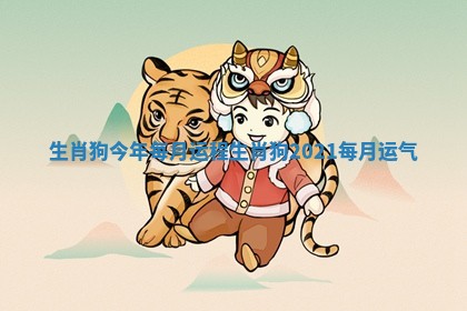 生肖狗今年每月运程_生肖狗2021每月运气
