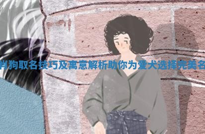 生肖狗取名技巧及寓意解析助你为爱犬选择完美名字