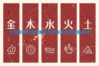 生肖狗明日运势解析与建议助你迎接新挑战