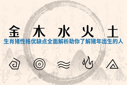 生肖猪性格优缺点全面解析助你了解猪年出生的人