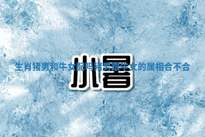 生肖猪男和牛女配吗_猪男跟牛女的属相合不合