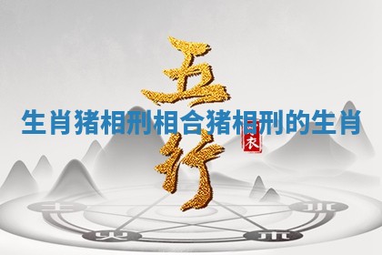 生肖猪相刑相合_猪相刑的生肖
