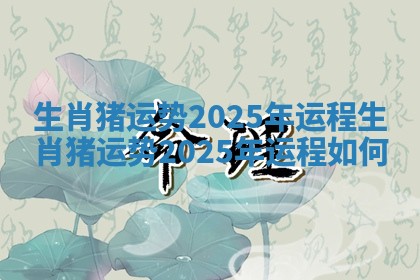 生肖猪运势2025年运程 生肖猪运势2025年运程如何