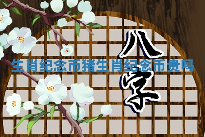 生肖纪念币猪_生肖纪念币贵吗