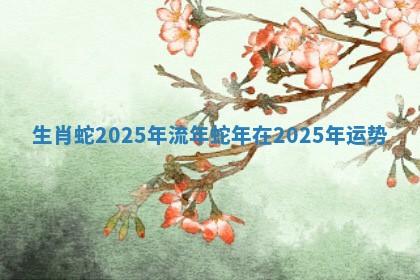 生肖蛇2025年流年 蛇年在2025年运势
