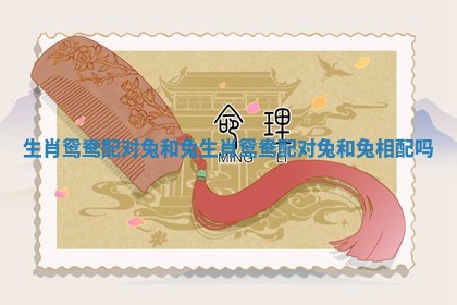 生肖鸳鸯配对兔和兔 生肖鸳鸯配对兔和兔相配吗