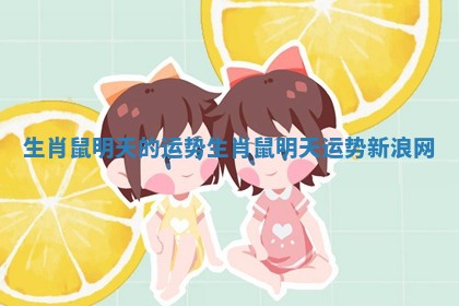 生肖鼠明天的运势 生肖鼠明天运势新浪网