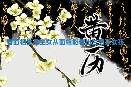 看面相生男生女_从面相能看出生男孩女孩