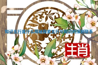 知识五行属什么揭秘探索五行与知识的深刻联系