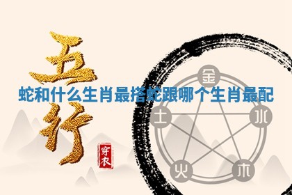 蛇和什么生肖最搭_蛇跟哪个生肖最配