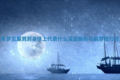 过年梦见屎溅到身体上代表什么深度解析与解梦技巧分享