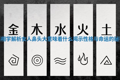 面相学解析女人鼻头大意味着什么揭示性格与命运的秘密