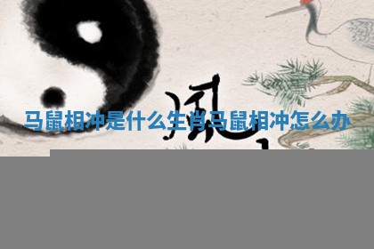马鼠相冲是什么生肖_马鼠相冲怎么办 马鼠相冲是什么生肖_马鼠相冲怎么办