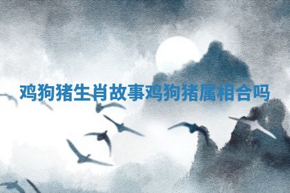 鸡狗猪生肖故事_鸡狗猪属相合吗