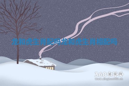 龙和虎生肖配吗_龙和虎生肖相配吗